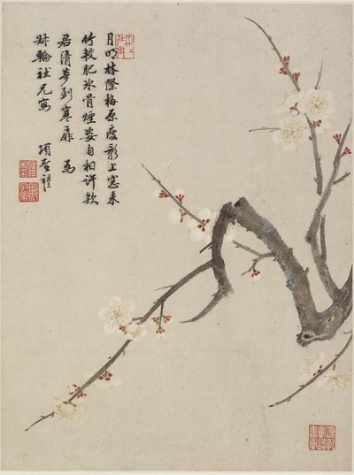 Bloeiende pruim uit een bloemenalbum van tien bladeren, 1656 door Shengmo Xiang